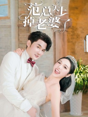 Cô Vợ Trên Trời Rơi Xuống Của Phạm Tổng - 范总天上掉老婆了 (2025)